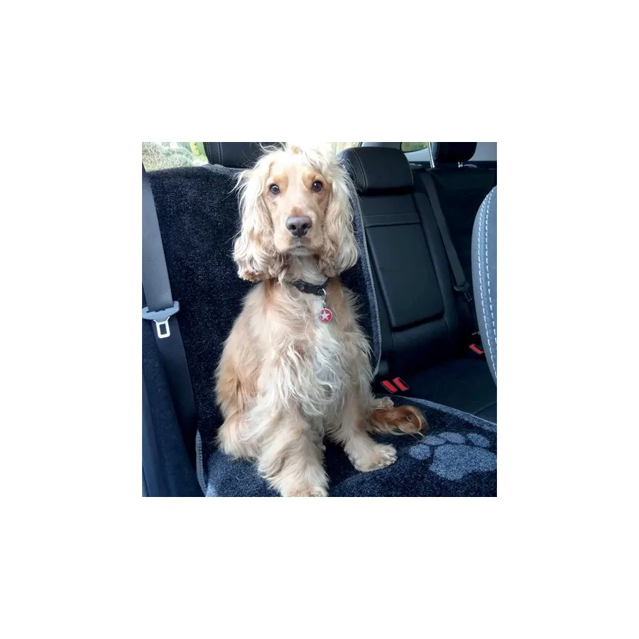 Tapis protection siège voiture - Chien