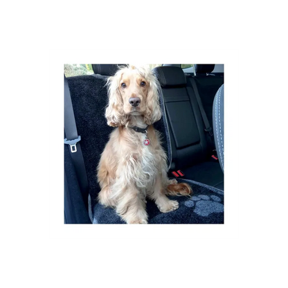 Tapis protection siège voiture - Chien