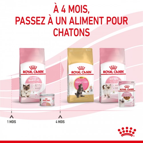 Royal Canin Mother &amp; Babycat