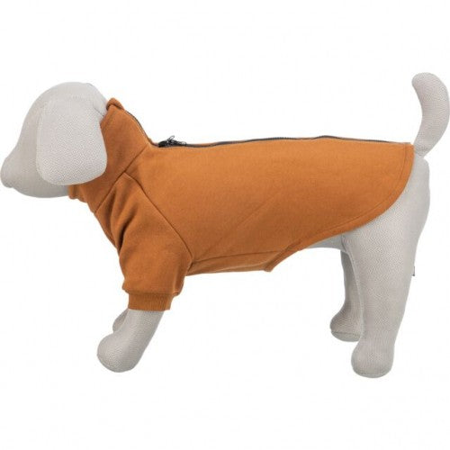 Sweat CityStyle Amsterdam orange rouille chien