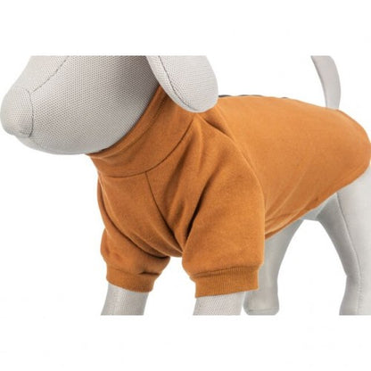 Sweat CityStyle Amsterdam orange rouille chien