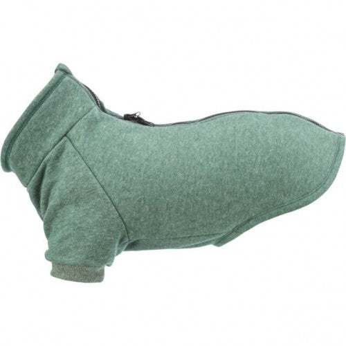 Sweat vert CityStyle Amsterdam chien