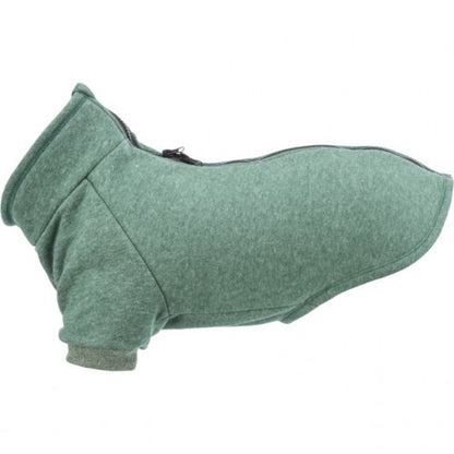 Sweat vert CityStyle Amsterdam chien