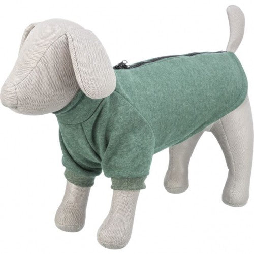 Sweat vert CityStyle Amsterdam chien