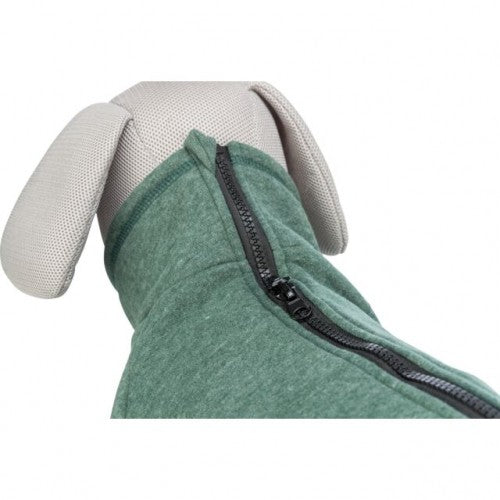 Sweat vert CityStyle Amsterdam chien