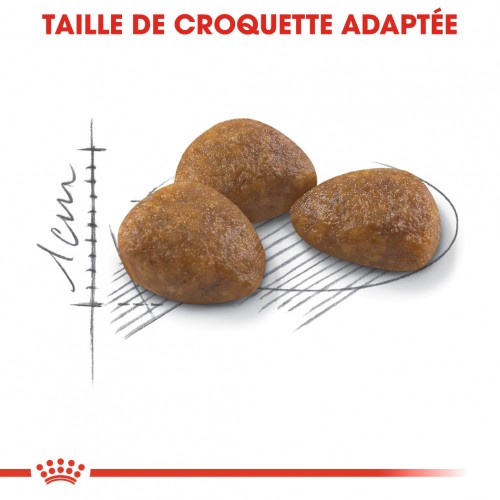 Royal Canin Outdoor 7+ - croquettes chat
