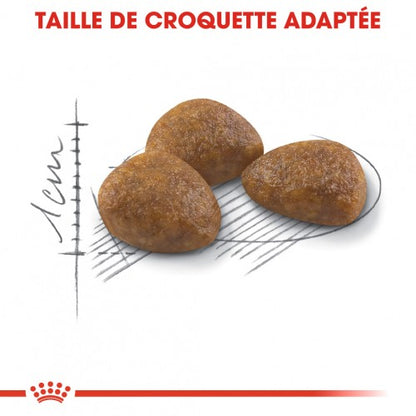 Royal Canin Outdoor 7+ - croquettes chat