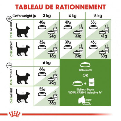 Royal Canin Outdoor 7+ - croquettes chat