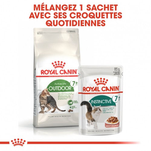 Royal Canin Outdoor 7+ - croquettes chat