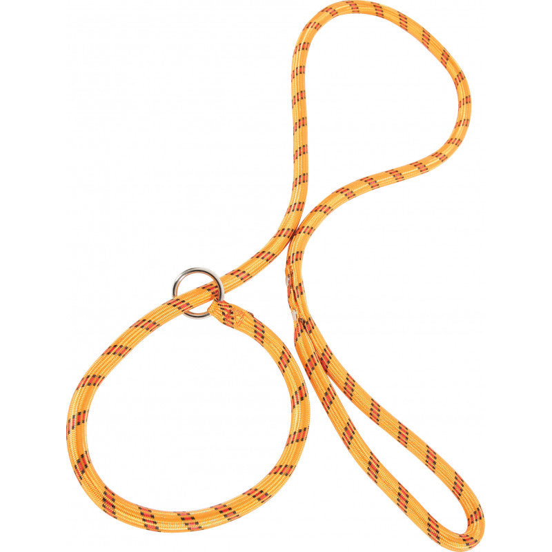 Laisse nylon corde lasso