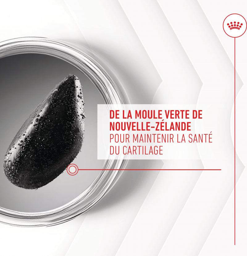 Aliment complémentaire Joint &amp; Ageing Chews pour chien