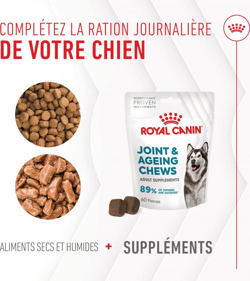 Aliment complémentaire Joint &amp; Ageing Chews pour chien