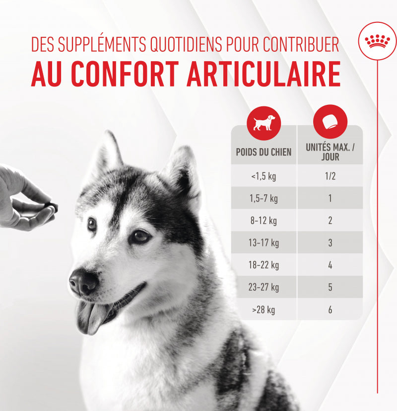 Aliment complémentaire Joint &amp; Ageing Chews pour chien