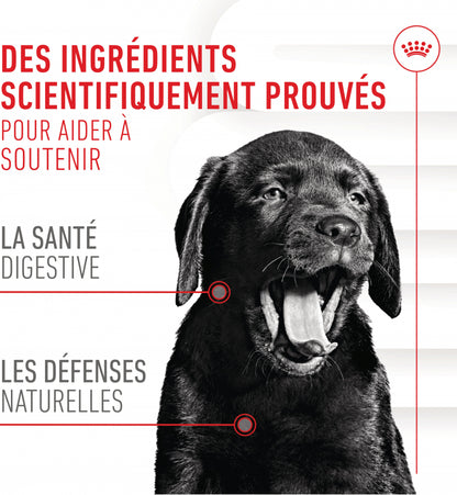 Aliment complémentaire Puppy Immunity &amp; Digestion Chews chiot