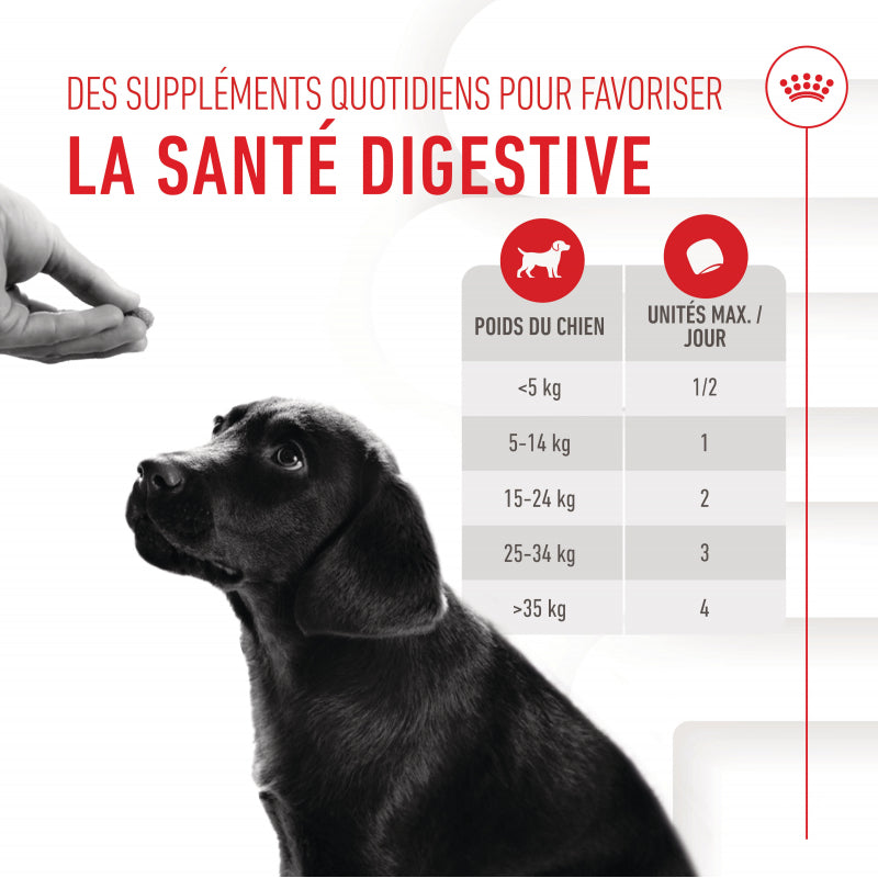 Aliment complémentaire Puppy Immunity &amp; Digestion Chews chiot