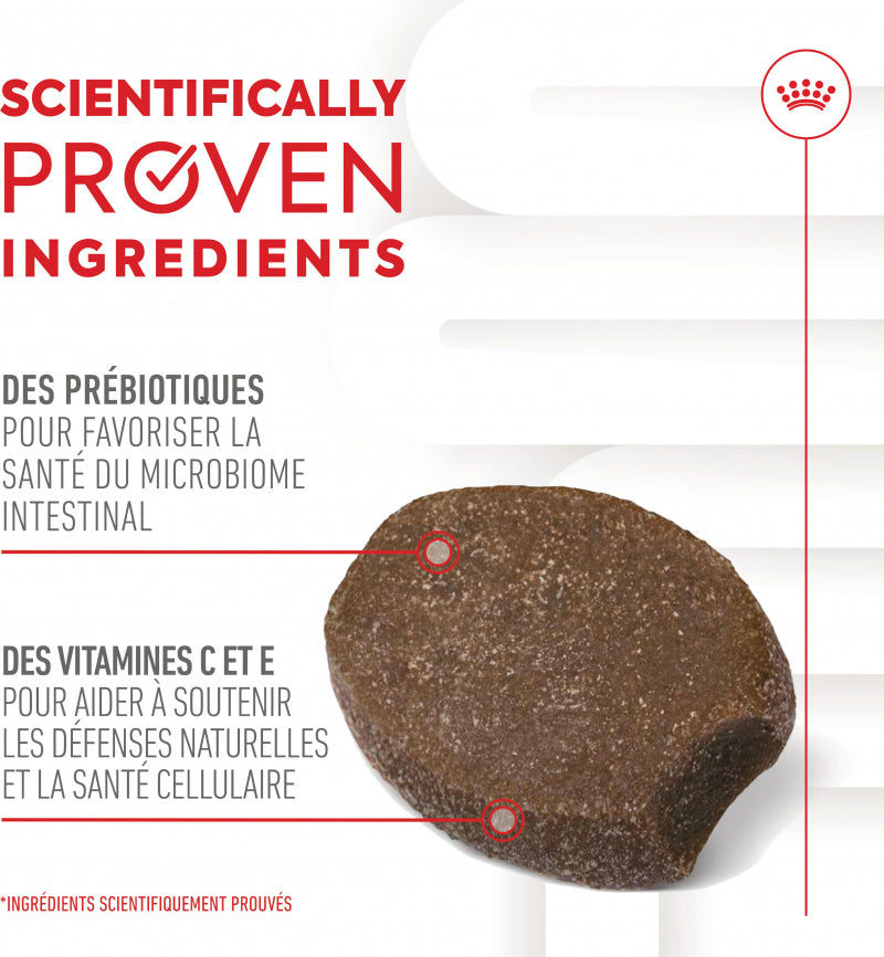 Aliment complémentaire Puppy Immunity &amp; Digestion Chews chiot