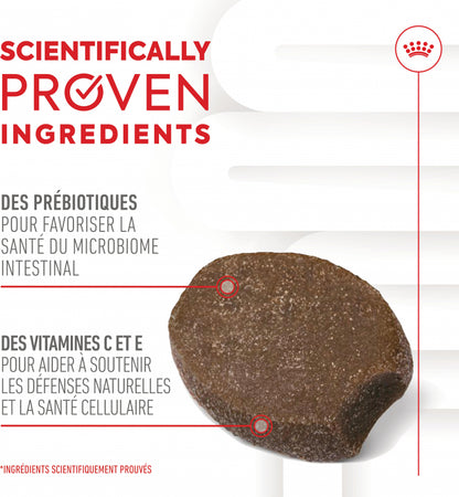 Aliment complémentaire Puppy Immunity &amp; Digestion Chews chiot