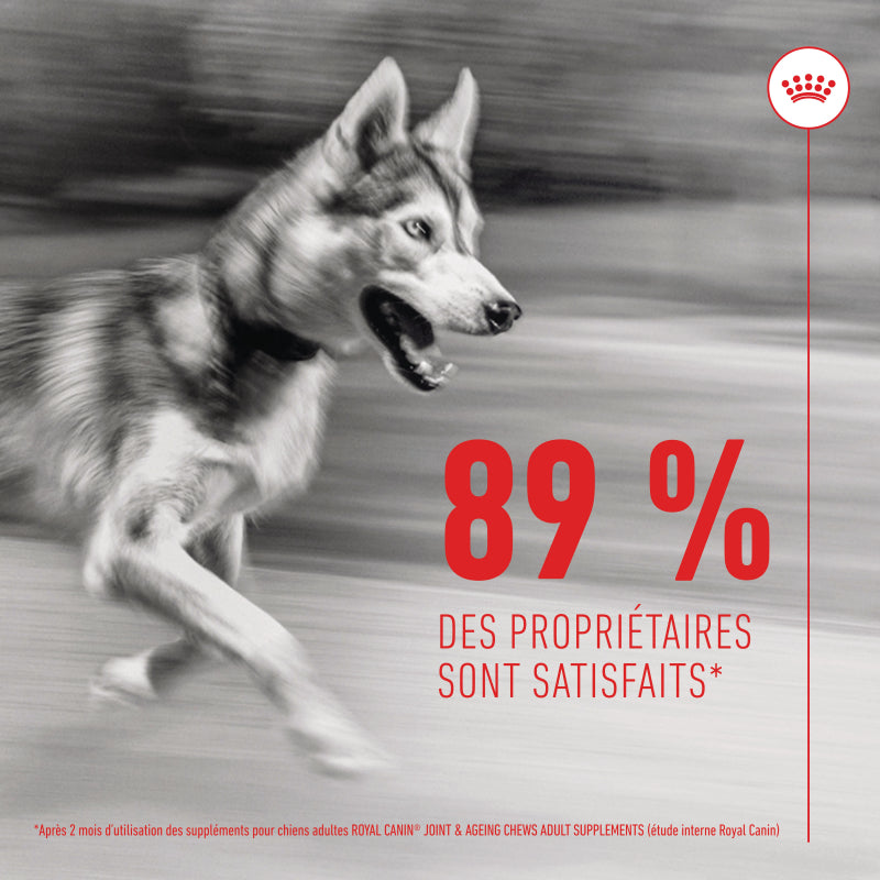 Aliment complémentaire Joint &amp; Ageing Chews pour chien
