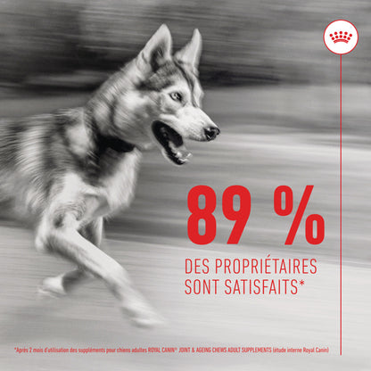 Aliment complémentaire Joint &amp; Ageing Chews pour chien