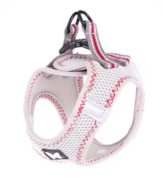 Harnais Mesh