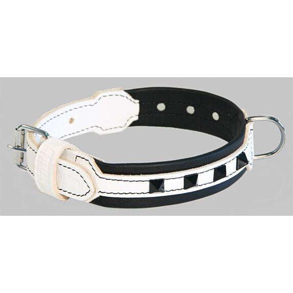 Collier montana