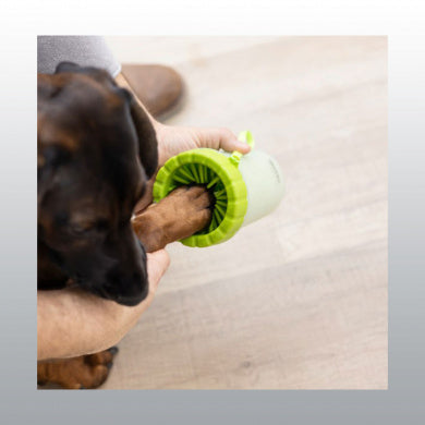 Nettoyeur pour pattes chien