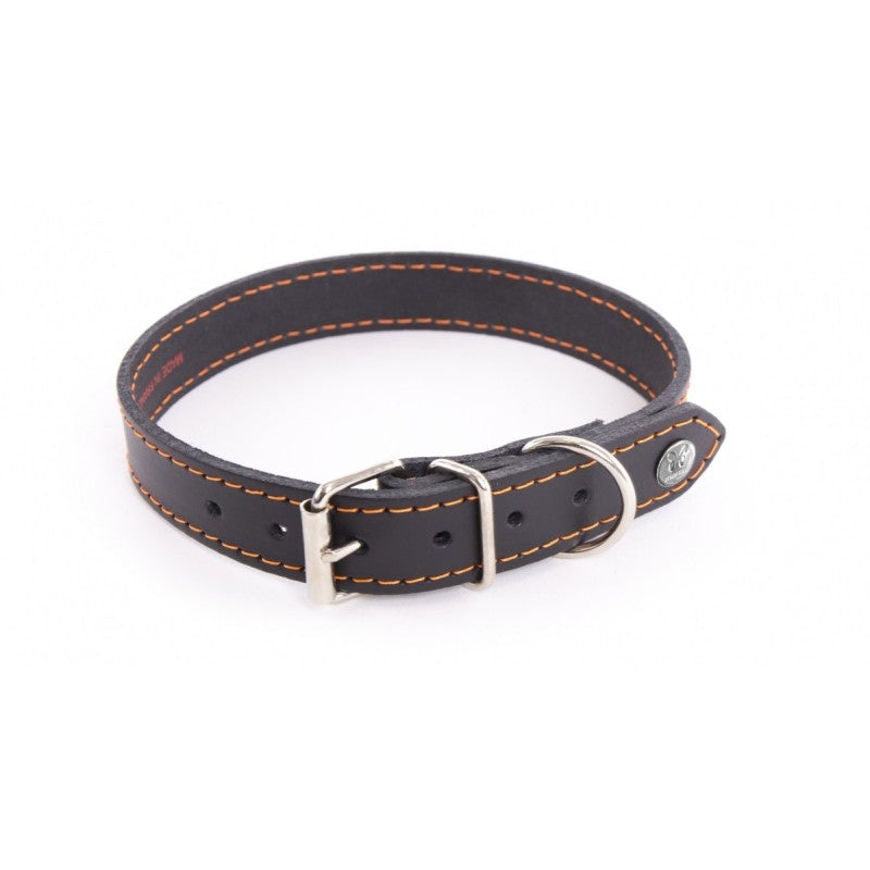 Martin Sellier - Chien - Collier cuir Flash couture fluo