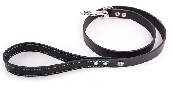 Martin Sellier - Chien - Laisse cuir Flash couture fluo