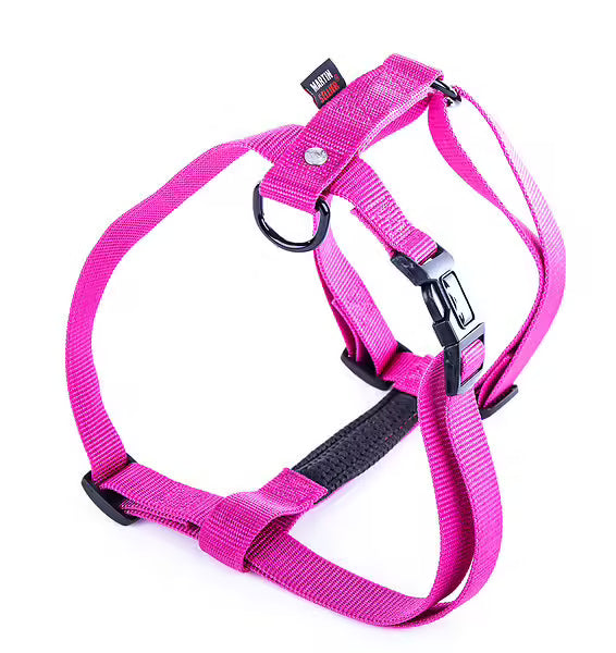 Harnais nylon réglable