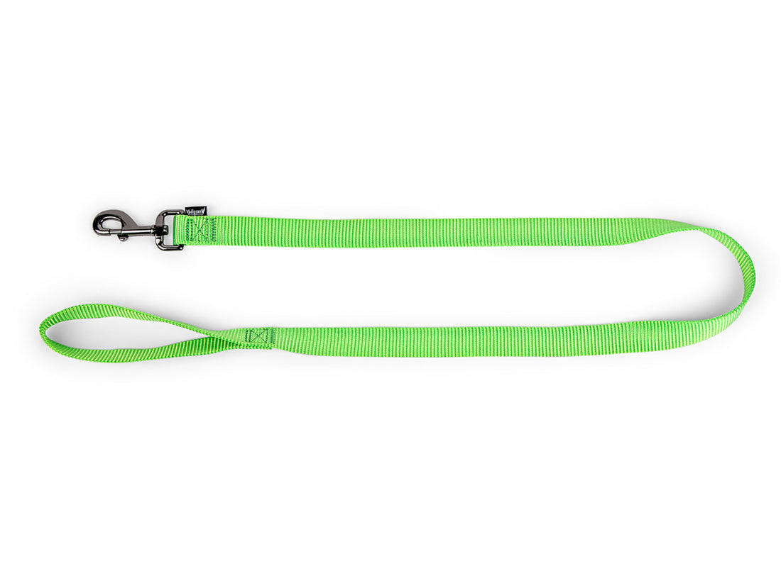 Laisse Classic Nylon