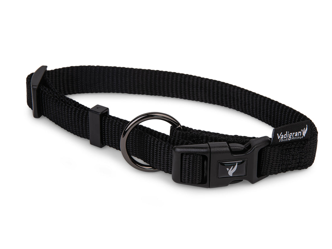 Collier Classic Nylon