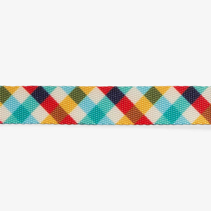 Zee Dog - Chien - Collier Phantom