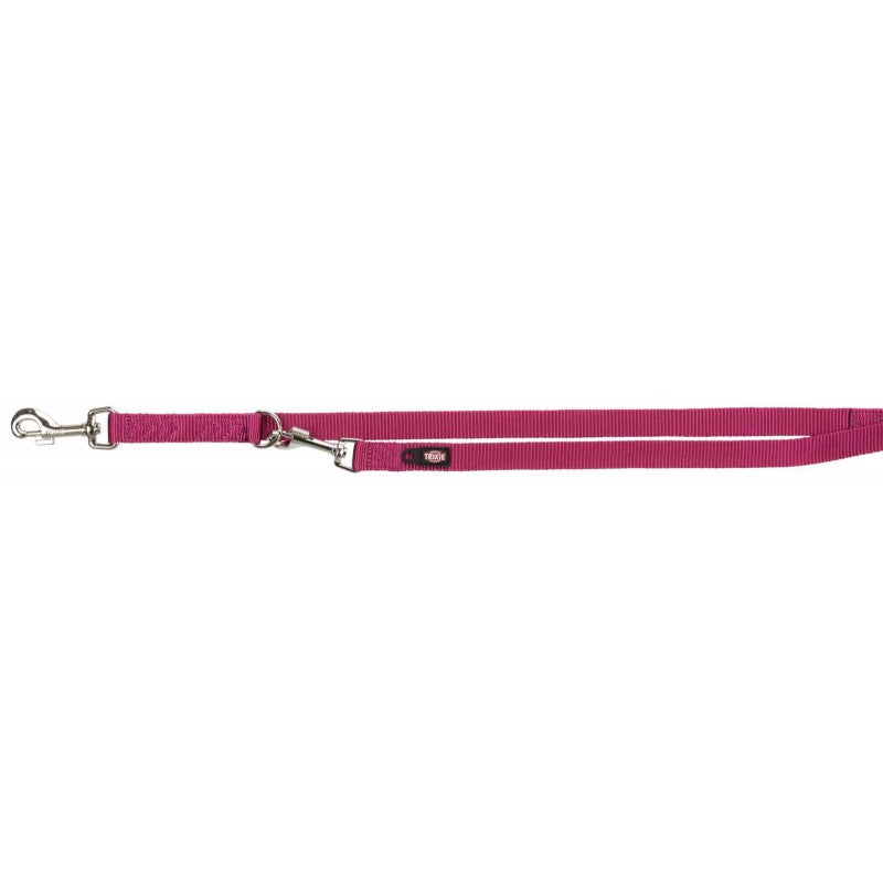 Laisse premium reglable pour chien