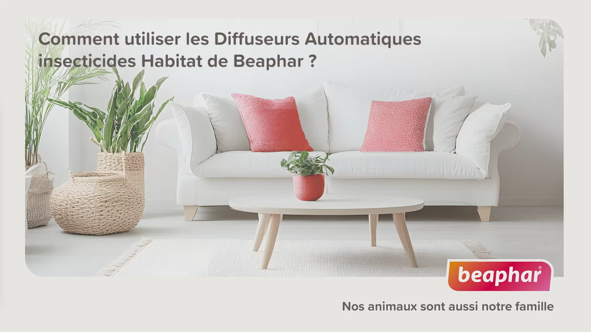Diffuseur automatique Insecticide habitat chat, chien