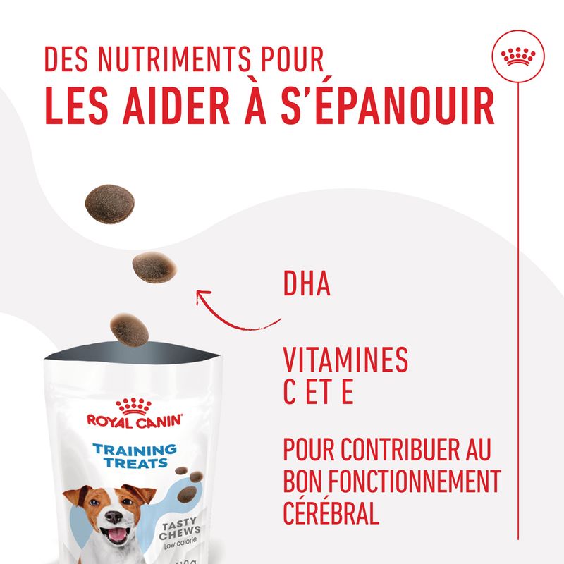 Royal Canin Training Treats chien