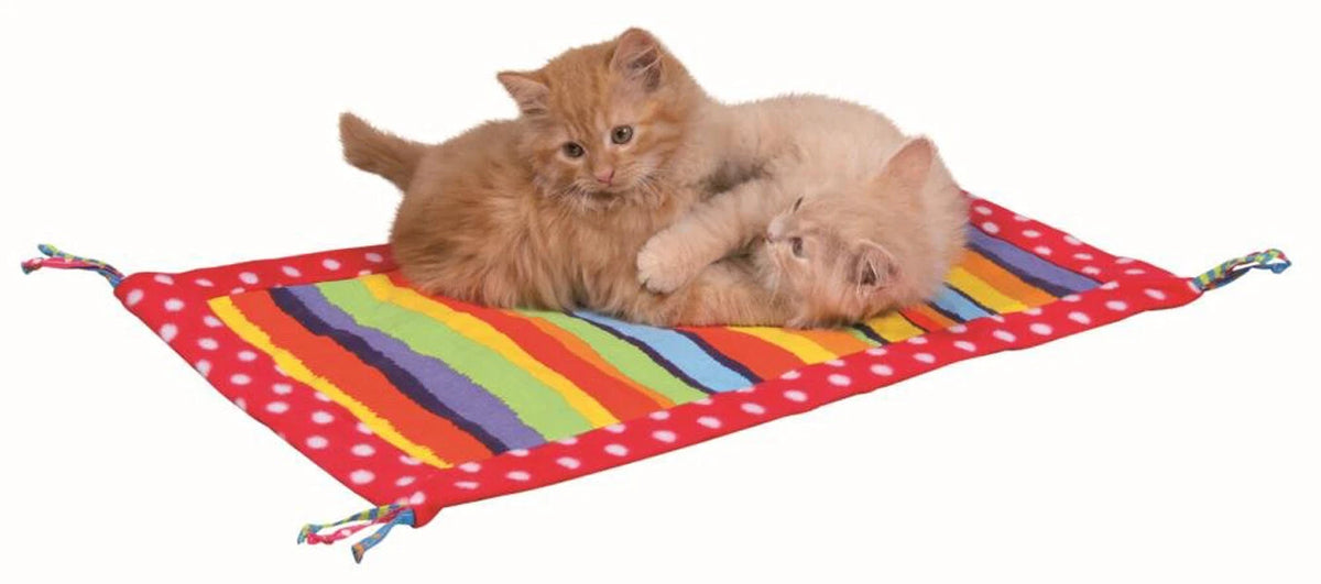 Tapis de jeu pour chat