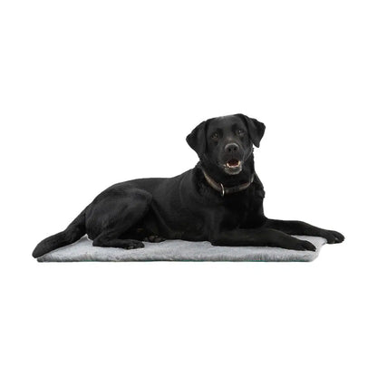Tapis Kruuse vet bed - Chien