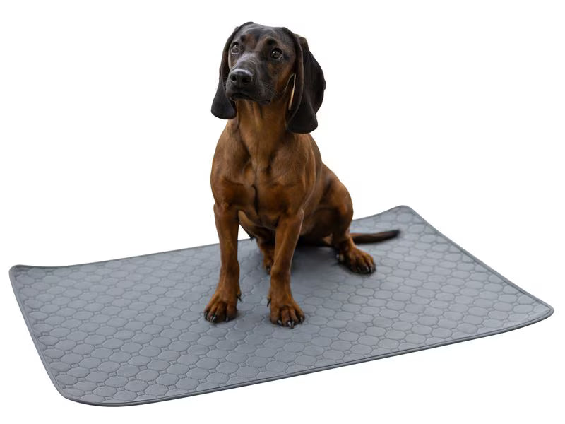 Tapis éducateur chien, chat